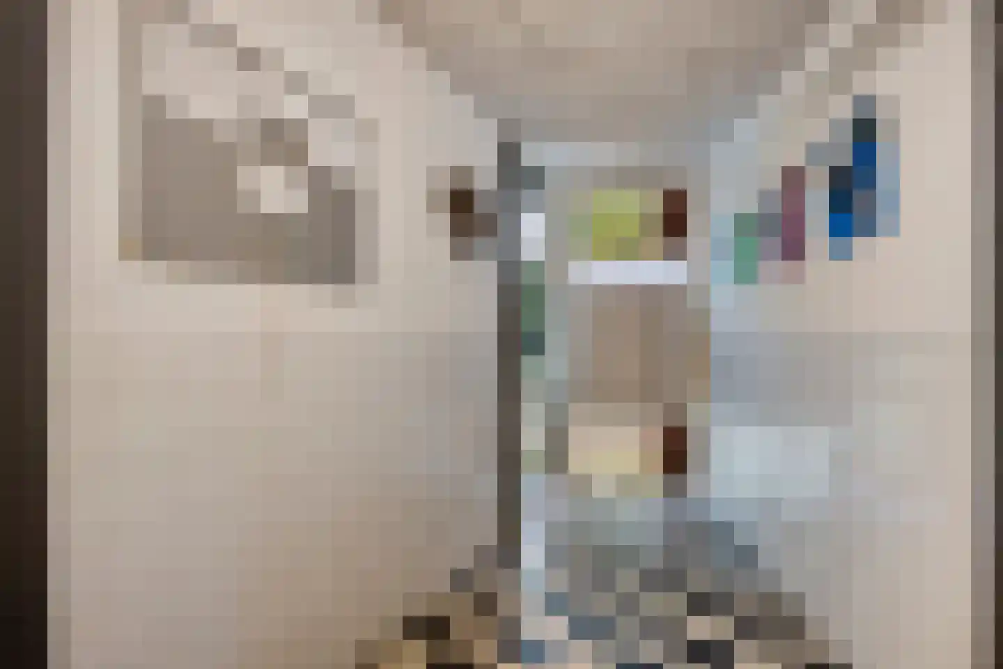 Sluismeesterslag 42 Gouda thumbnail 10