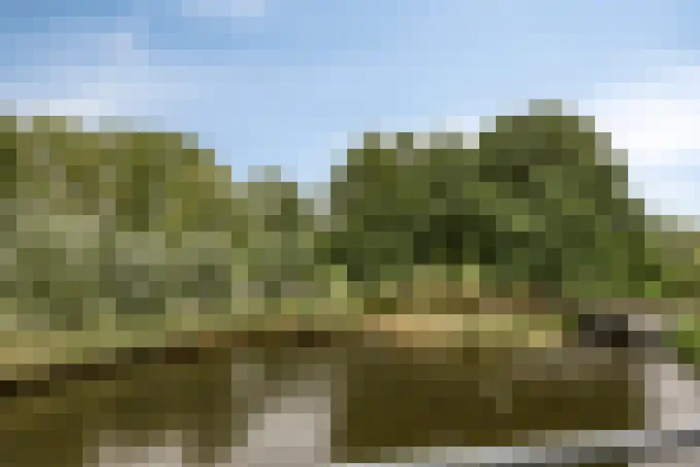 Sluismeesterslag 42 Gouda thumbnail 22