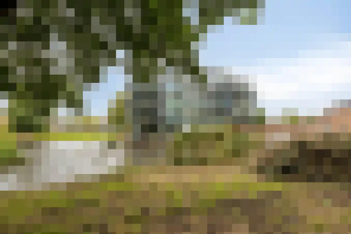 Sluismeesterslag 42 Gouda thumbnail 35