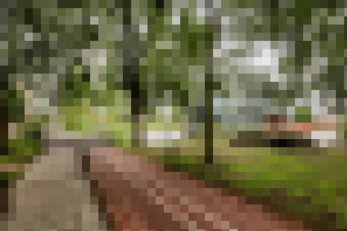 Sluismeesterslag 42 Gouda thumbnail 37