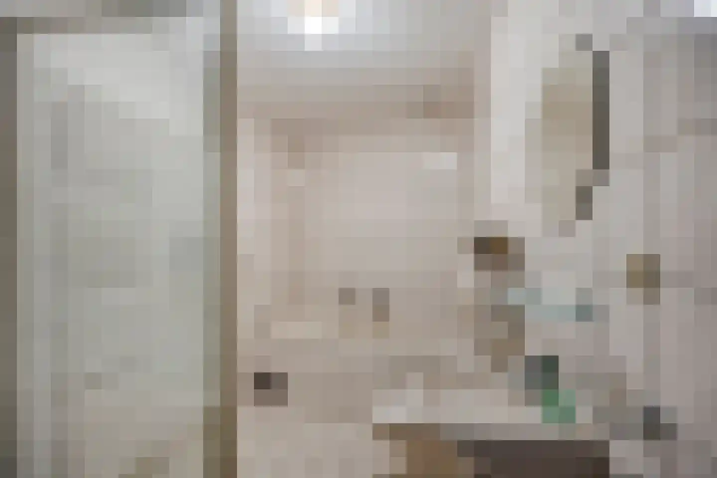 Sluismeesterslag 42 Gouda thumbnail 6