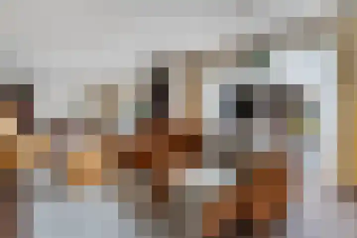 Sluismeesterslag 5 Gouda thumbnail 17