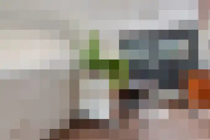Sluismeesterslag 5 Gouda thumbnail 23