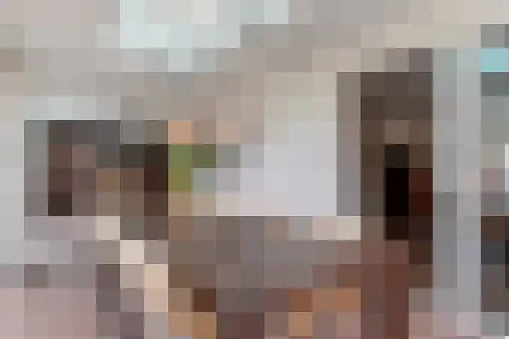 Sluismeesterslag 5 Gouda thumbnail 33
