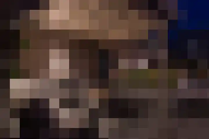 Sluismeesterslag 5 Gouda thumbnail 43