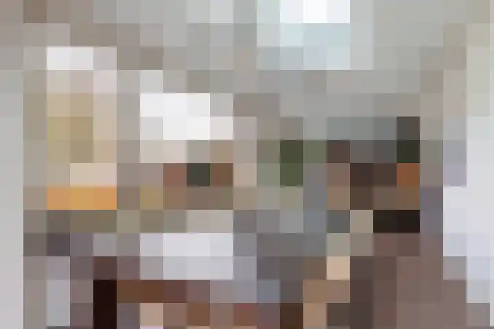 Sluismeesterslag 5 Gouda thumbnail 5