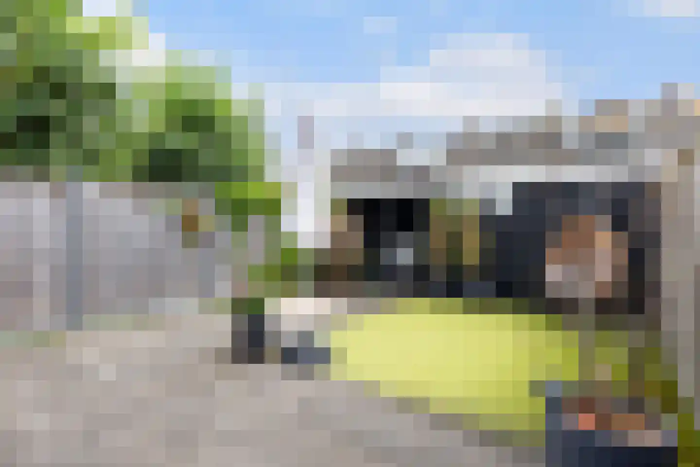 Sluisoordlaan 416 Apeldoorn thumbnail 11