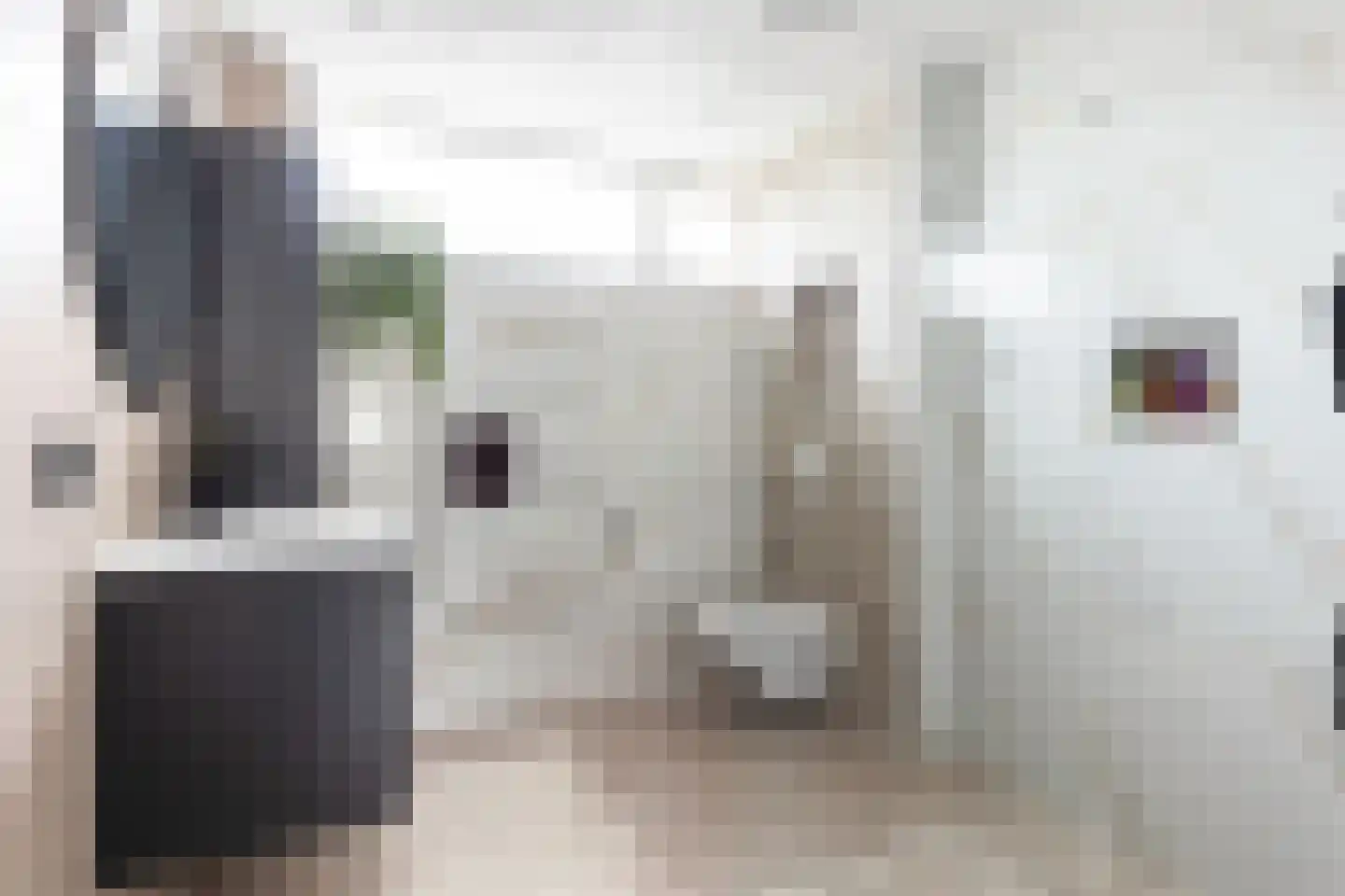Sluisoordlaan 416 Apeldoorn thumbnail 30