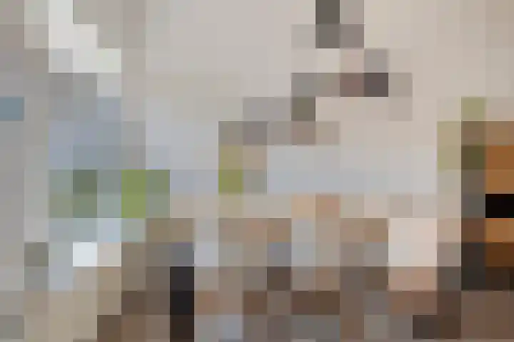Sluisoordlaan 436 Apeldoorn thumbnail 10