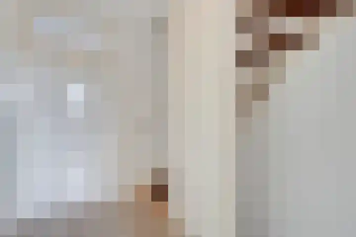 Sluisoordlaan 436 Apeldoorn thumbnail 12