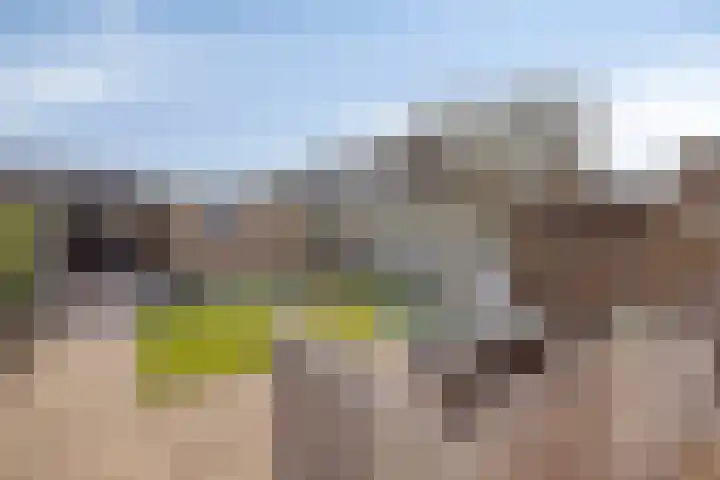 Sluisoordlaan 436 Apeldoorn thumbnail 23