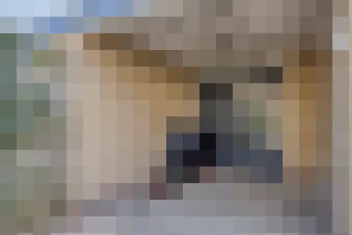 Sluisoordlaan 436 Apeldoorn thumbnail 26