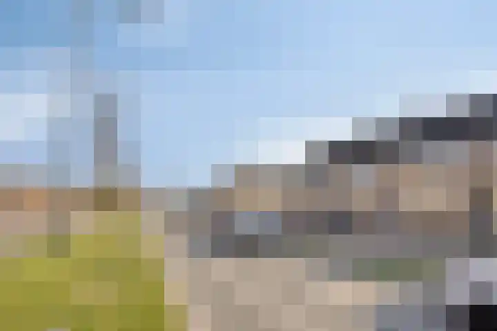 Sluisoordlaan 436 Apeldoorn thumbnail 30
