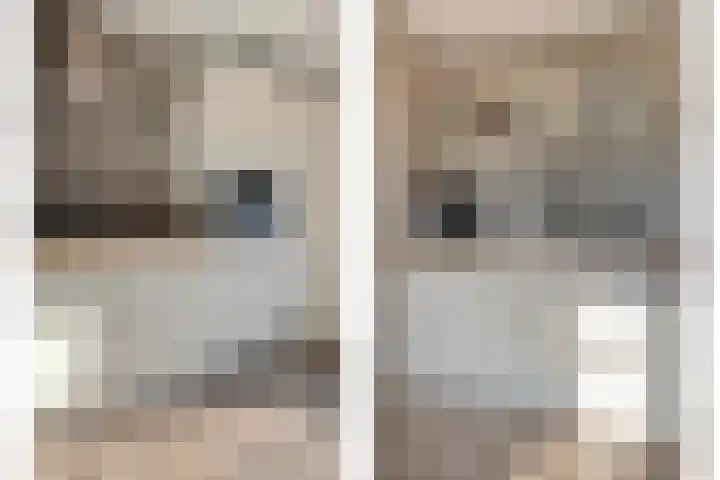 Sluisoordlaan 436 Apeldoorn thumbnail 4