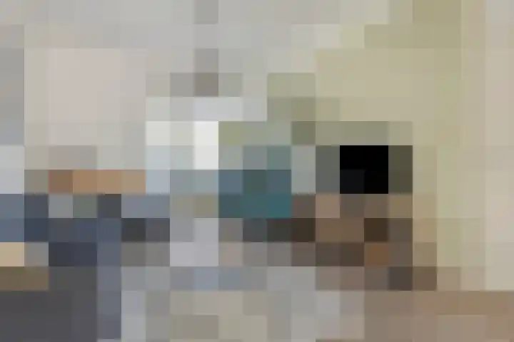 Sluisoordlaan 436 Apeldoorn thumbnail 6