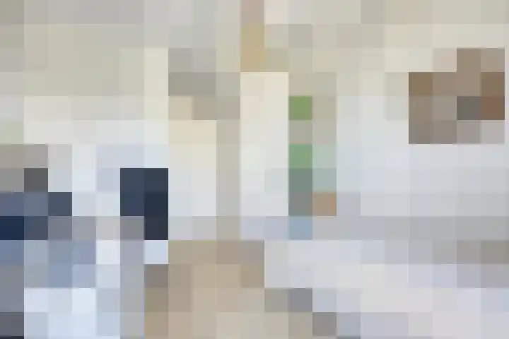 Sluisoordlaan 69 Apeldoorn thumbnail 20