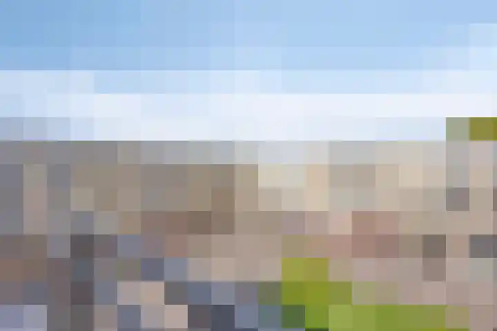 Sluisoordlaan 69 Apeldoorn thumbnail 37