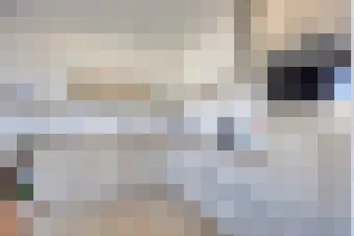 Sluisoordlaan 69 Apeldoorn thumbnail 4