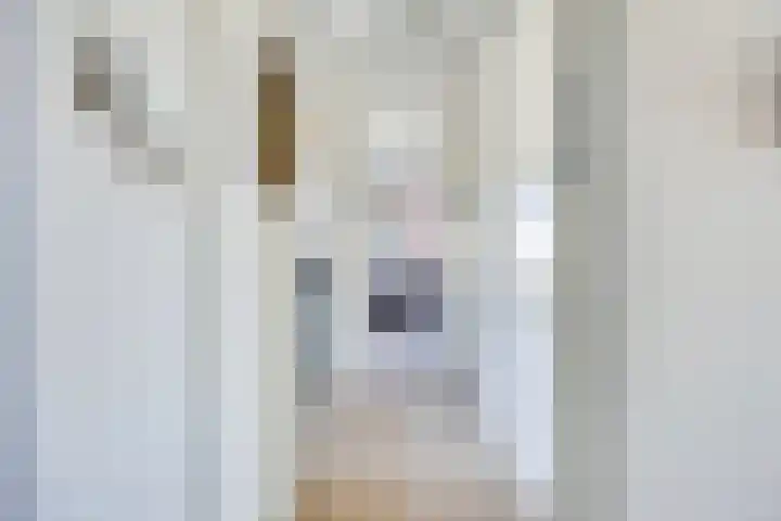 Sluisoordlaan 69 Apeldoorn thumbnail 7