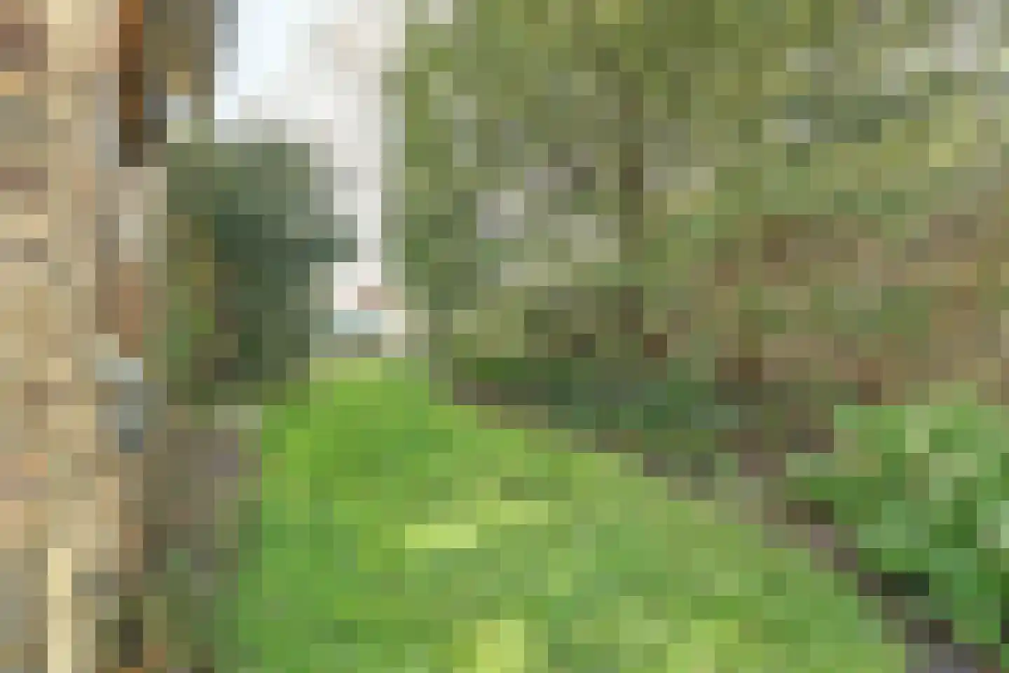 Sluispad 42 Burgh-Haamstede thumbnail 32