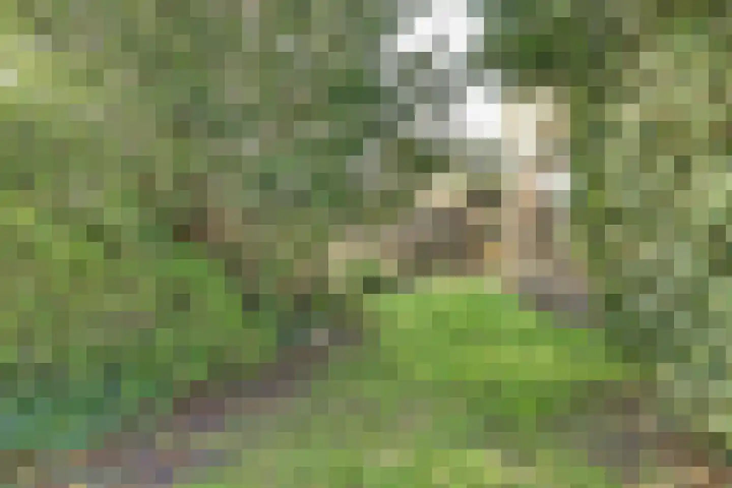 Sluispad 42 Burgh-Haamstede thumbnail 34