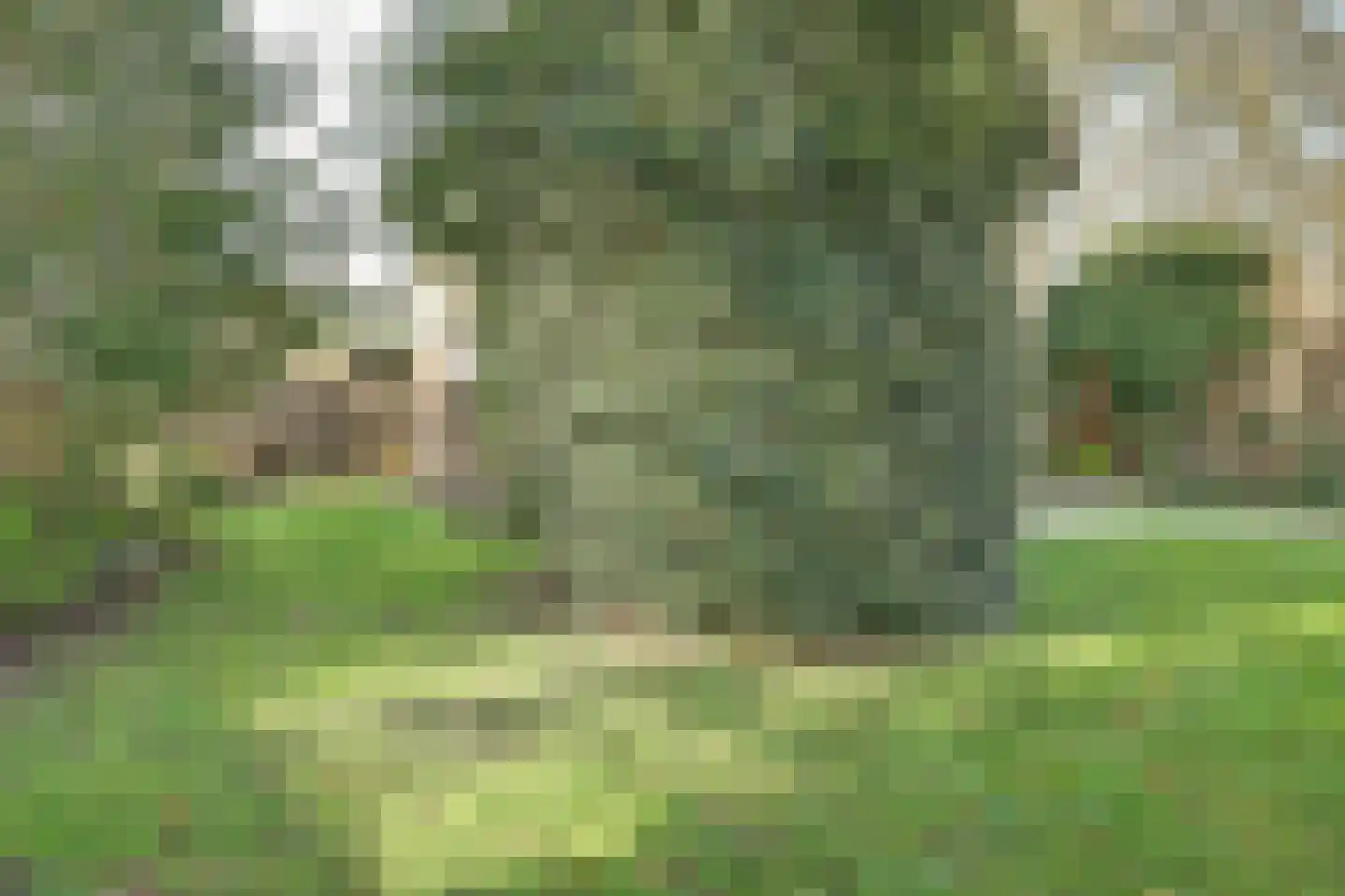 Sluispad 42 Burgh-Haamstede thumbnail 35