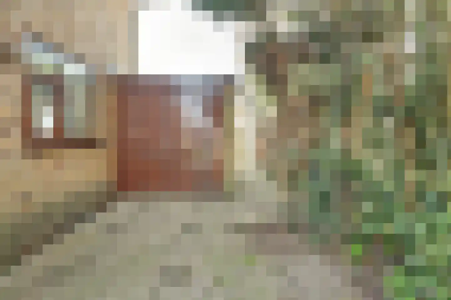 Sluispad 42 Burgh-Haamstede thumbnail 6