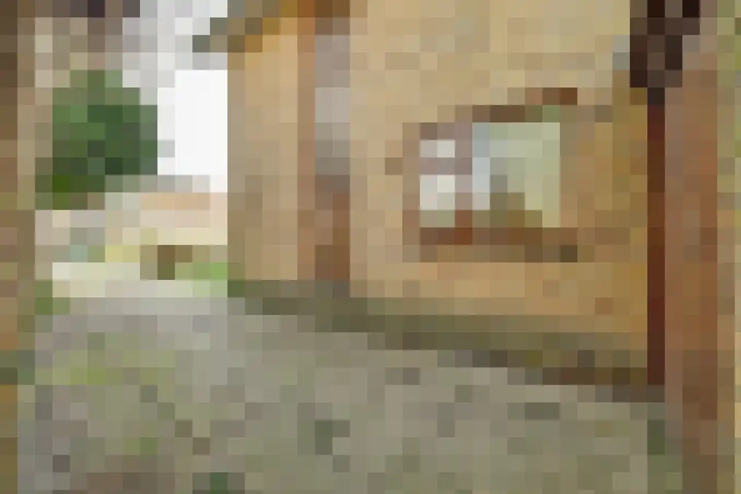 Sluispad 42 Burgh-Haamstede thumbnail 7
