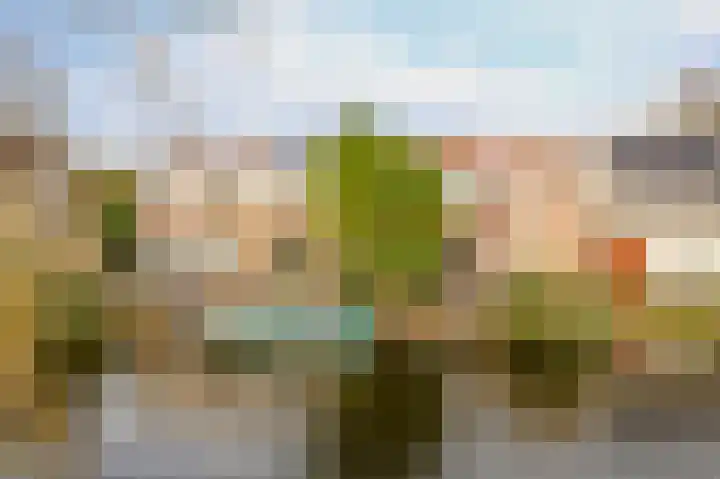 Sluispad 45 Wormerveer