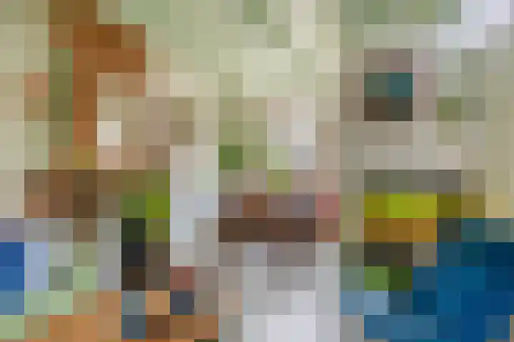 Sluispad 45 Wormerveer thumbnail 13
