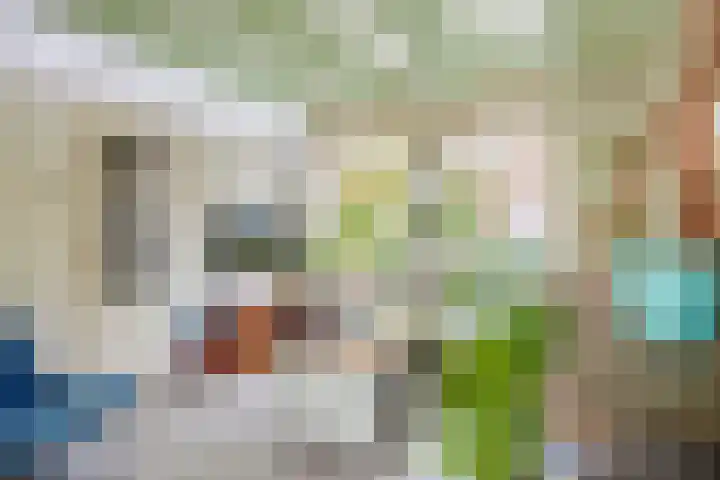 Sluispad 45 Wormerveer thumbnail 14