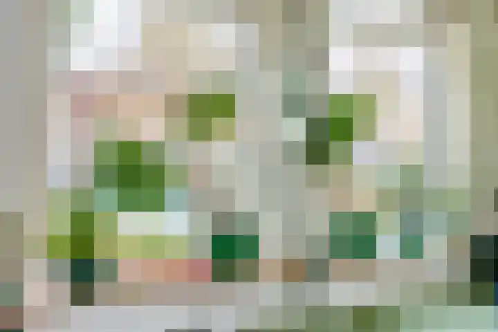 Sluispad 45 Wormerveer thumbnail 15