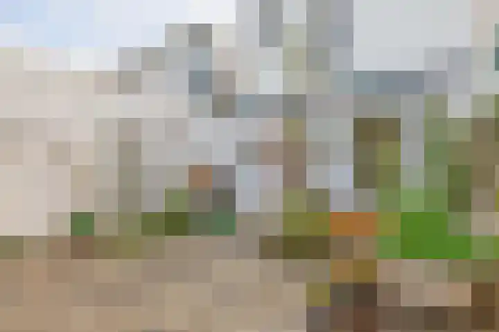 Sluispad 45 Wormerveer thumbnail 35