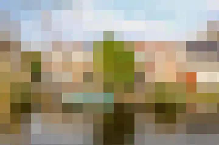 Sluispad 45 Wormerveer thumbnail 45