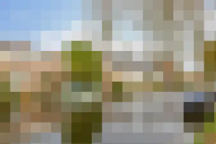 Sluispad 45 Wormerveer thumbnail 5