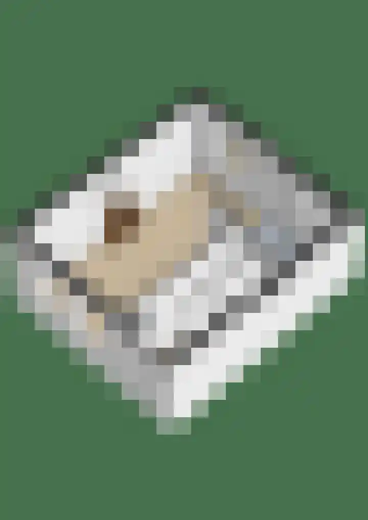 Sluispad 45 Wormerveer thumbnail 51