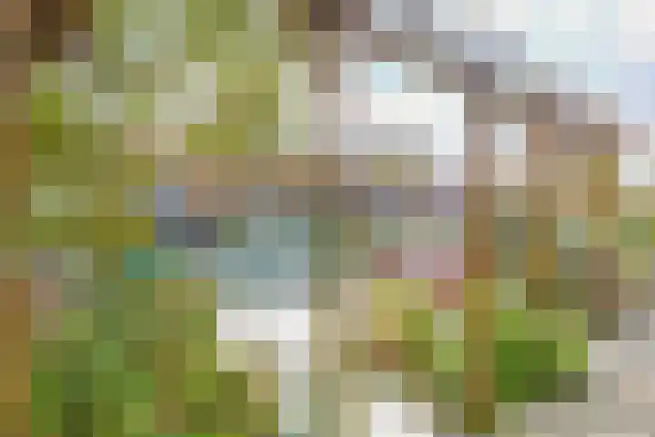 Sluispad 45 Wormerveer thumbnail 6