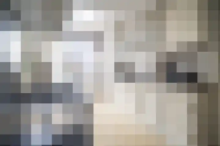 Sluispad 6 Ter Aar thumbnail 16