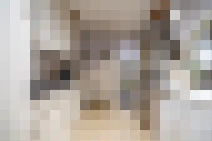 Sluispad 6 Ter Aar thumbnail 22