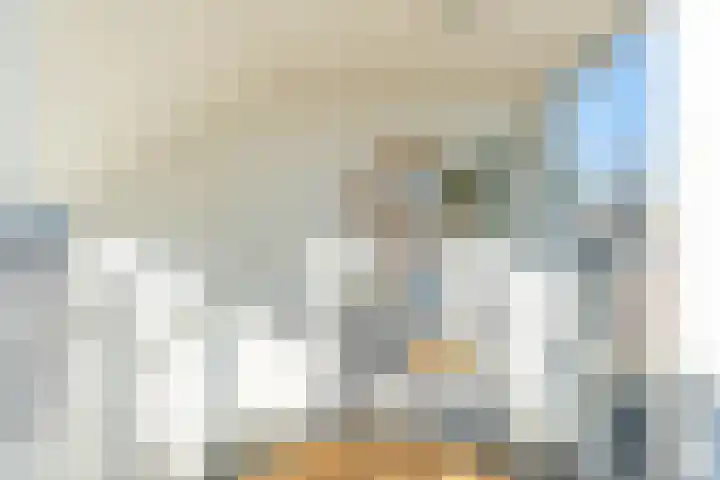 Sluispad 6 Ter Aar thumbnail 29