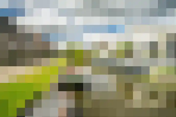 Sluispad 6 Ter Aar foto 3