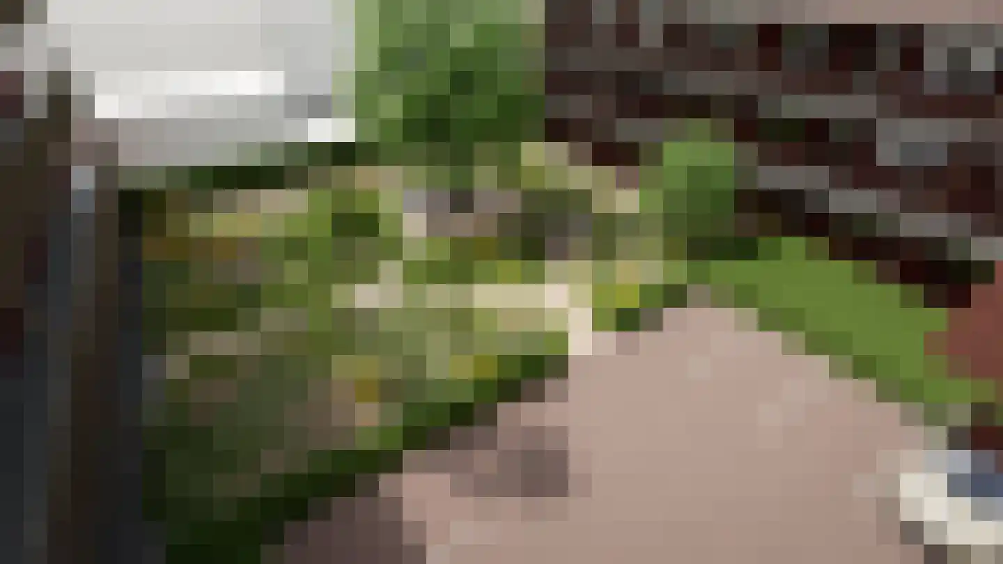 Sluispad 6 Ter Aar thumbnail 35