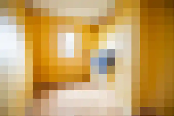 Sluispad 6 Ter Aar thumbnail 36