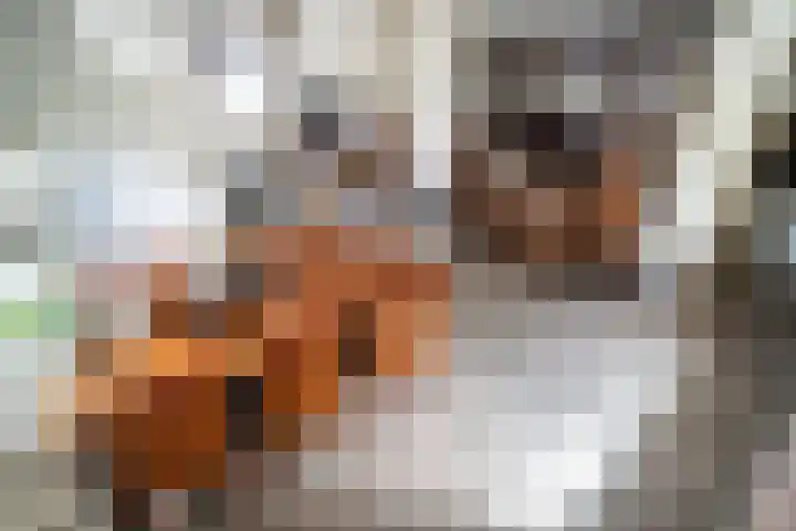 Sluispad 6 Ter Aar thumbnail 5