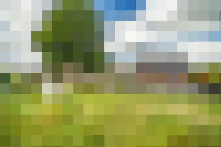 Sluispad 6 Ter Aar thumbnail 53