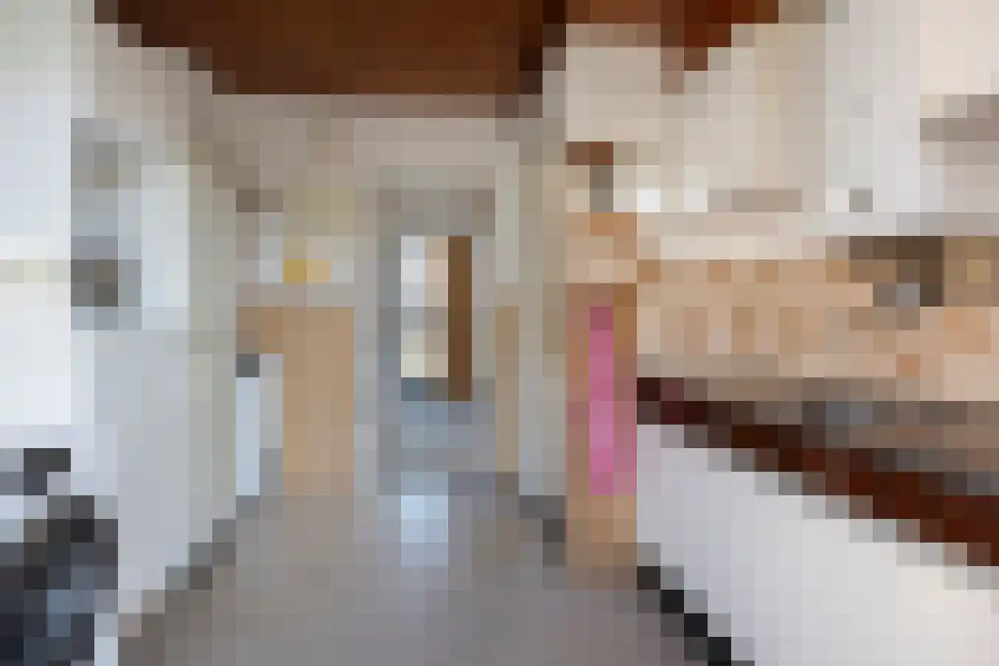 Sluispad 8 Burgh-Haamstede thumbnail 12