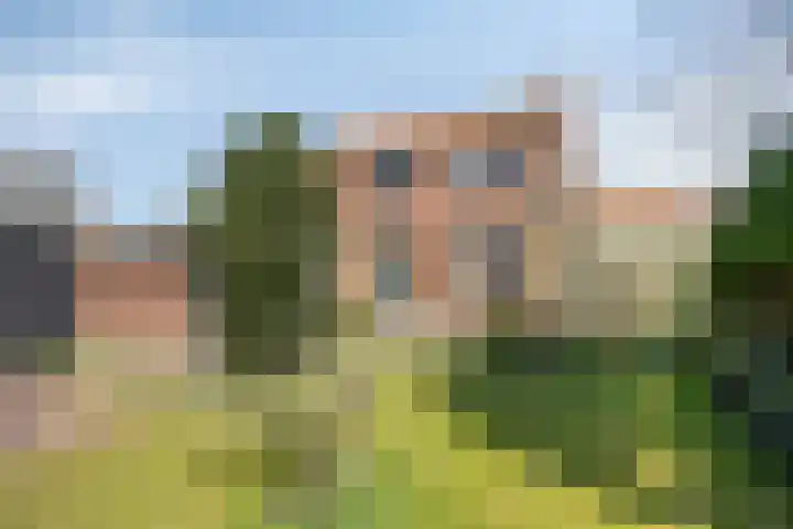 Sluispad 8 Burgh-Haamstede thumbnail 19