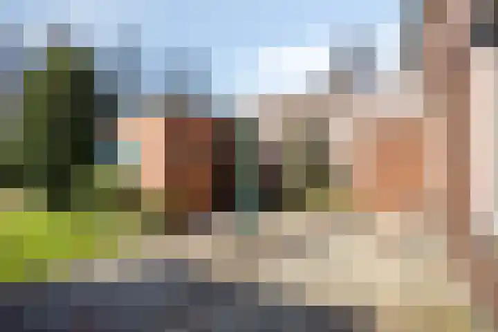 Sluispad 8 Burgh-Haamstede thumbnail 20