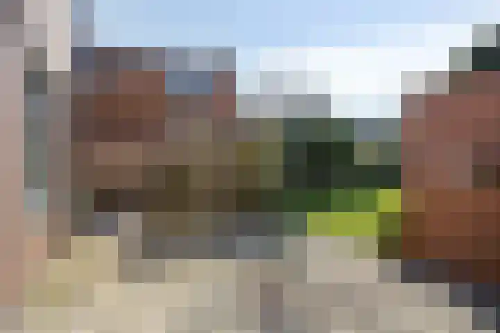 Sluispad 8 Burgh-Haamstede thumbnail 21