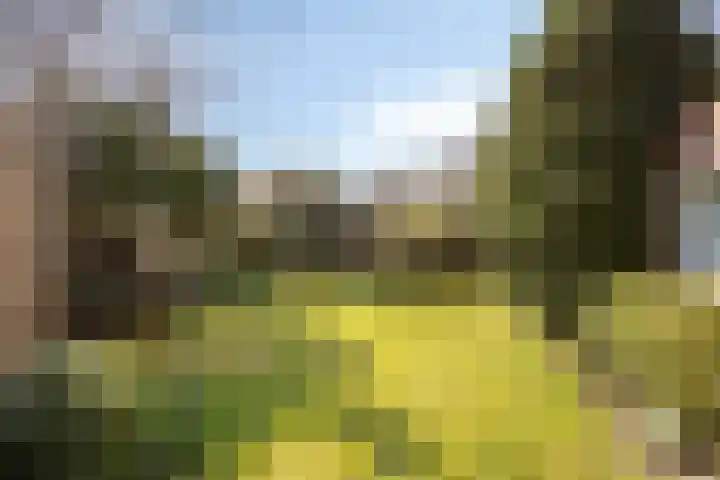 Sluispad 8 Burgh-Haamstede thumbnail 23